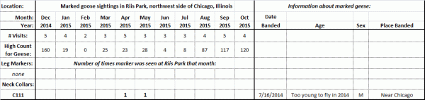 Table summarizing data on marked Canada Geese at Riis Park, Chicago, from December, 2014, through mid October, 2015.